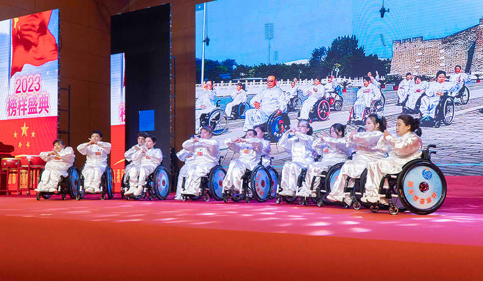 silla de ruedas manual